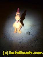 /home//u458753944/public_html/sourcegallery///////Roxborough Toad Detour/2013-2019/2013/2013-04-09/P1120060.JPG